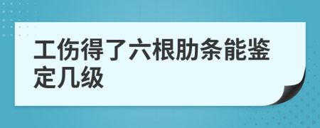 工伤得了六根肋条能鉴定几级