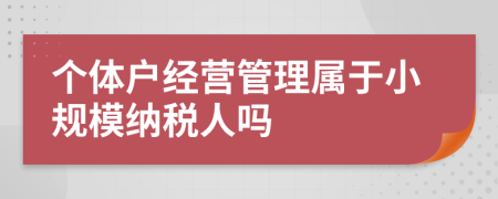 个体户经营管理属于小规模纳税人吗