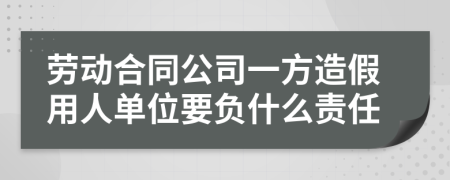 劳动合同公司一方造假用人单位要负什么责任