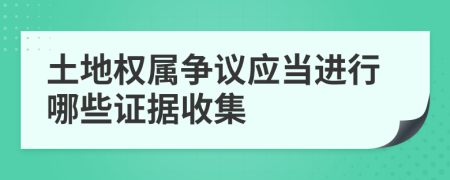 土地权属争议应当进行哪些证据收集