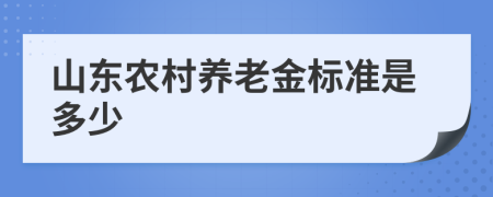 山东农村养老金标准是多少