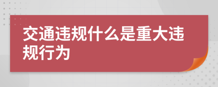 交通违规什么是重大违规行为