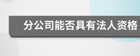 分公司能否具有法人资格