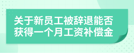 关于新员工被辞退能否获得一个月工资补偿金