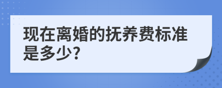 现在离婚的抚养费标准是多少?