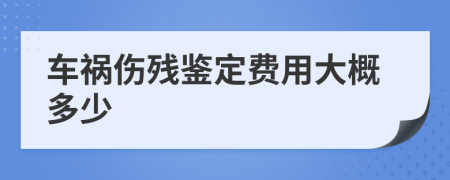 车祸伤残鉴定费用大概多少
