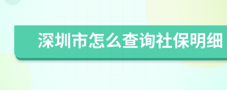 深圳市怎么查询社保明细