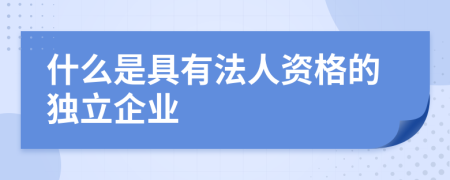 什么是具有法人资格的独立企业