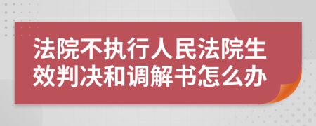 法院不执行人民法院生效判决和调解书怎么办