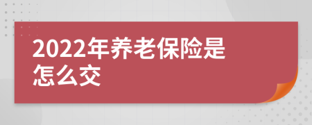 2022年养老保险是怎么交