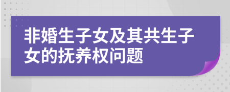 非婚生子女及其共生子女的抚养权问题