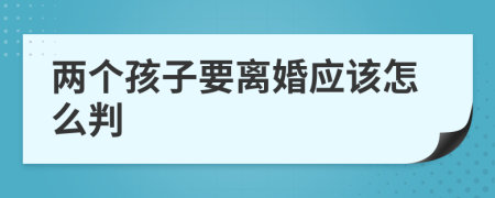 两个孩子要离婚应该怎么判