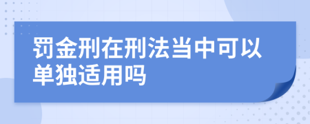 罚金刑在刑法当中可以单独适用吗