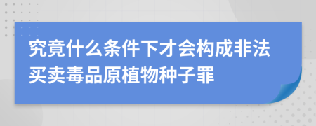 究竟什么条件下才会构成非法买卖毒品原植物种子罪