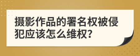 摄影作品的署名权被侵犯应该怎么维权？