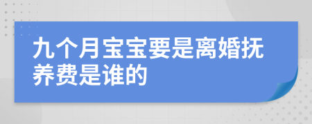 九个月宝宝要是离婚抚养费是谁的