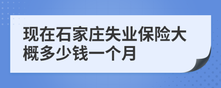 现在石家庄失业保险大概多少钱一个月