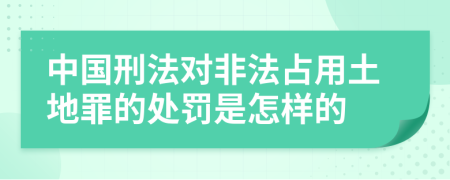 中国刑法对非法占用土地罪的处罚是怎样的