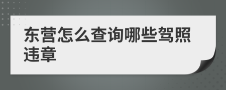 东营怎么查询哪些驾照违章