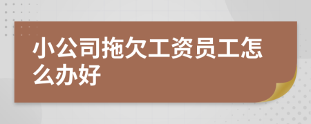 小公司拖欠工资员工怎么办好