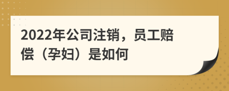 2022年公司注销，员工赔偿（孕妇）是如何