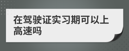 在驾驶证实习期可以上高速吗