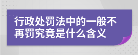 行政处罚法中的一般不再罚究竟是什么含义