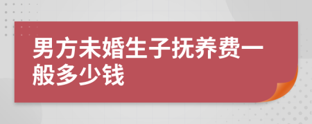 男方未婚生子抚养费一般多少钱