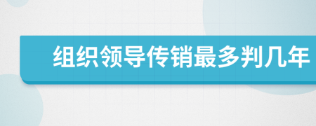 组织领导传销最多判几年