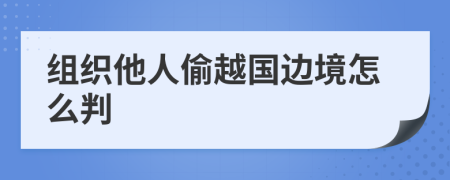 组织他人偷越国边境怎么判