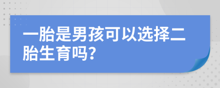 一胎是男孩可以选择二胎生育吗？