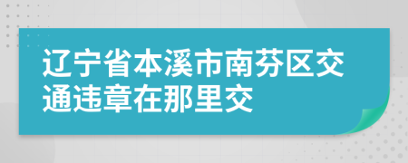 辽宁省本溪市南芬区交通违章在那里交
