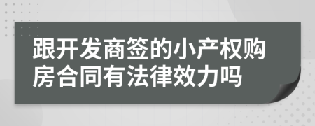 跟开发商签的小产权购房合同有法律效力吗