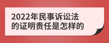 2022年民事诉讼法的证明责任是怎样的