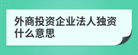 外商投资企业法人独资什么意思