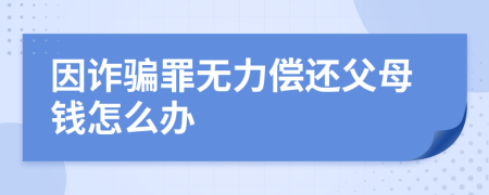 因诈骗罪无力偿还父母钱怎么办