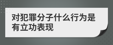 对犯罪分子什么行为是有立功表现