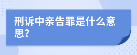 刑诉中亲告罪是什么意思？