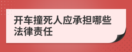 开车撞死人应承担哪些法律责任