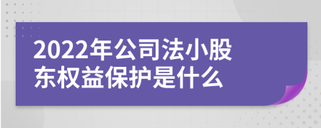 2022年公司法小股东权益保护是什么