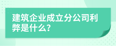 建筑企业成立分公司利弊是什么？