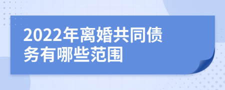 2022年离婚共同债务有哪些范围