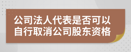 公司法人代表是否可以自行取消公司股东资格