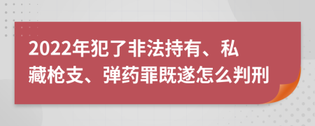 2022年犯了非法持有、私藏枪支、弹药罪既遂怎么判刑