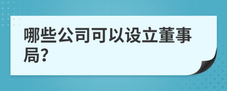 哪些公司可以设立董事局？