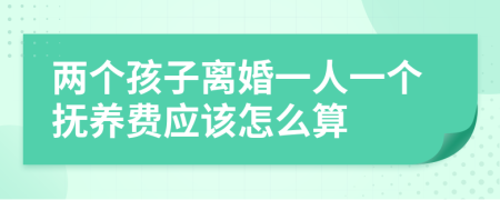 两个孩子离婚一人一个抚养费应该怎么算