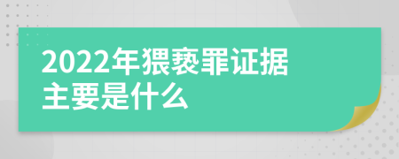 2022年猥亵罪证据主要是什么