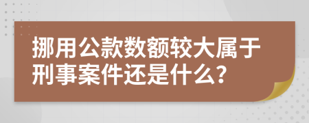 挪用公款数额较大属于刑事案件还是什么？