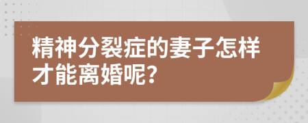 精神分裂症的妻子怎样才能离婚呢？