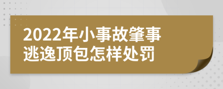 2022年小事故肇事逃逸顶包怎样处罚